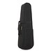Cremona SV75 Violin, Full Size