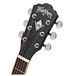 Washburn Harvest D7S Acoustic, Matte Black