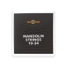 Mandolin Strings by Gear4music
