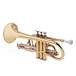 Elkhart 200CR Intermediate Cornet