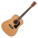 Washburn D5 Apprentice Dreadnought Acoustic Pack, Natural - Front View