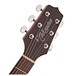 Takamine GD11M Dreadnought Acoustic, Natural head