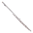 Trevor James Privilege Flute, Traditional Silver Lip Plate