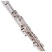 Trevor James Privilege Flute, Traditional Silver Lip Plate