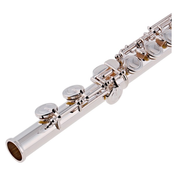 Trevor James Privilege Flute, Traditional Silver Lip Plate