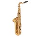 Jupiter JTS700 Intermediate Tenor Saxophone Outfit, Gig Bag Case
