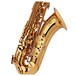 Jupiter JTS700 Intermediate Tenor Saxophone Outfit, Gig Bag Case