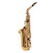 Jupiter JAS700 Alto Saxophone with Styled Gig Bag Case