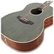 Takamine Peace Electro Acoustic 2020 Ltd Ed, Green Tea Gloss