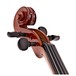 Stagg Violin Outfit, 1/2, Peg Box