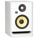 ROKIT Studio Monitor, White Noise - Angled 2