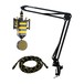 Neat Kingbee Condenser Microphone with Stand and Cable - Full Bundle