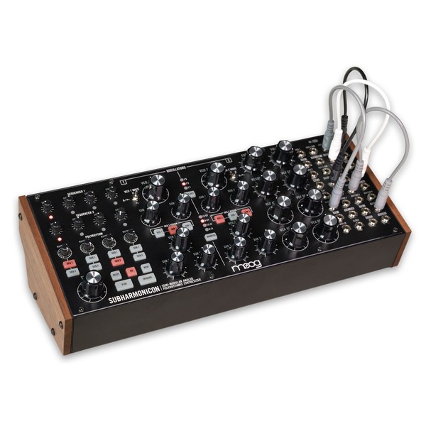 Moog Subharmonicon - Angled