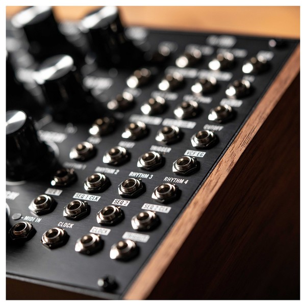 Moog Subharmonicon - Detail - Patch Bay