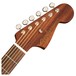 Fender Newporter Special Electro Acoustic, Mahogany - Headstock View