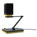 Neat Beecaster - With Pop Filter