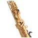 Conn-Selmer DSS180 Avant Soprano Saxophone, Gold Lacquer, Rollers