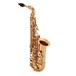 Conn-Selmer DAS180 Avant Alto Saxophone, Lacquer