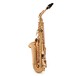 Conn-Selmer DAS180 Avant Alto Saxophone, Lacquer, Back