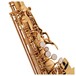 Conn-Selmer DAS180 Avant Alto Saxophone, Lacquer, Pearls