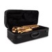 Conn-Selmer DAS180 Avant Alto Saxophone, Lacquer, Case