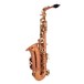 Conn-Selmer PAS380 Premiere Alto Saxophone, Lacquer, Side