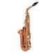 Conn-Selmer PAS380 Premiere Alto Saxophone, Lacquer, Back,