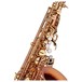 Conn-Selmer PAS380 Premiere Alto Saxophone, Lacquer, Keys