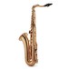 Conn-Selmer ATS180 Avant Tenor Saxophone, Lacquer, Back