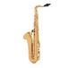 Conn-Selmer PTS380 Premiere Tenor Saxophone, Lacquer, Back