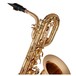 Conn-Selmer DBS180 Baritone Saxophone, Lacquer, Neck