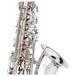 Stagg AS211S Alto Saxophone, Bell