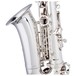 Stagg AS211S Alto Saxophone, BRace