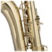 Stagg TS215S Tenor Saxophone, Brace