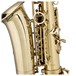 Stagg AS215S Alto Saxophone, Brace