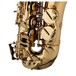Levante by Stagg AS4105 Alto Saxophone, Bow
