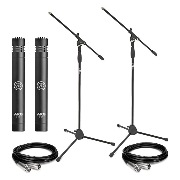 AKG P170 Instrument Condenser Microphone Pair with Stands