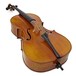 Hidersine WC110 Cello Outfit, Gold Setup