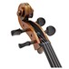 Hidersine WC110 Cello Outfit, Gold Setup