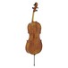 Hidersine WC110 Cello Outfit, Gold Setup