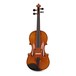 Hidersine DV519 Model Violin Outfit, Gold Setup