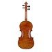 Hidersine DV519 Model Violin Outfit, Gold Setup