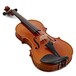 Hidersine DV519 Model Violin Outfit, Gold Setup