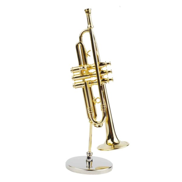 Agifty Trumpet with Gift Box