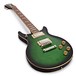 Epiphone DC Pro, Wild Ivy