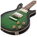 Epiphone DC Pro, Wild Ivy