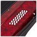 Accordion by Gear4music, 24 Bass