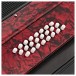 Accordion by Gear4music, 24 Bass