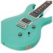 PRS S2 Custom 24 Ltd Edition, Satin Robins Egg Blue #S2040514 - controls