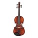 Realist RV5e E Series 5 String Violin Outfit Full Size